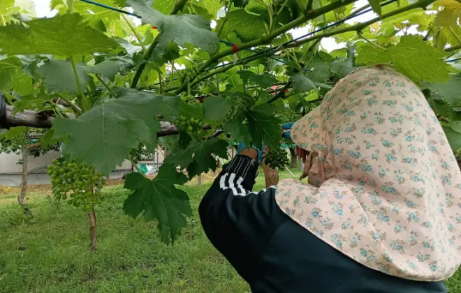 「やってみたい!」「できた!」を大切にしています